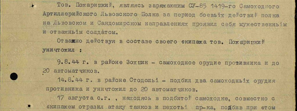 Пожарицкий_3