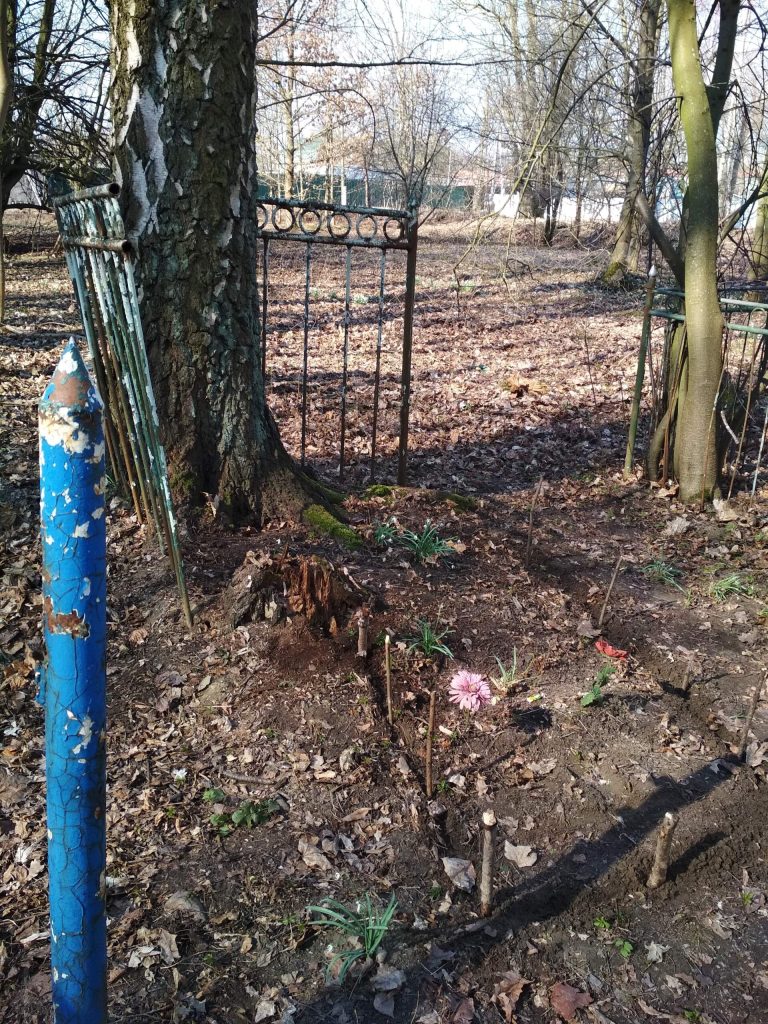 Бузин_3
