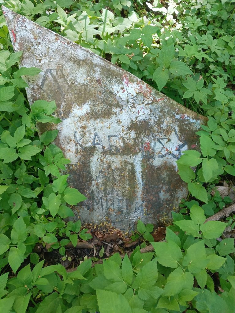 Кабыш_1