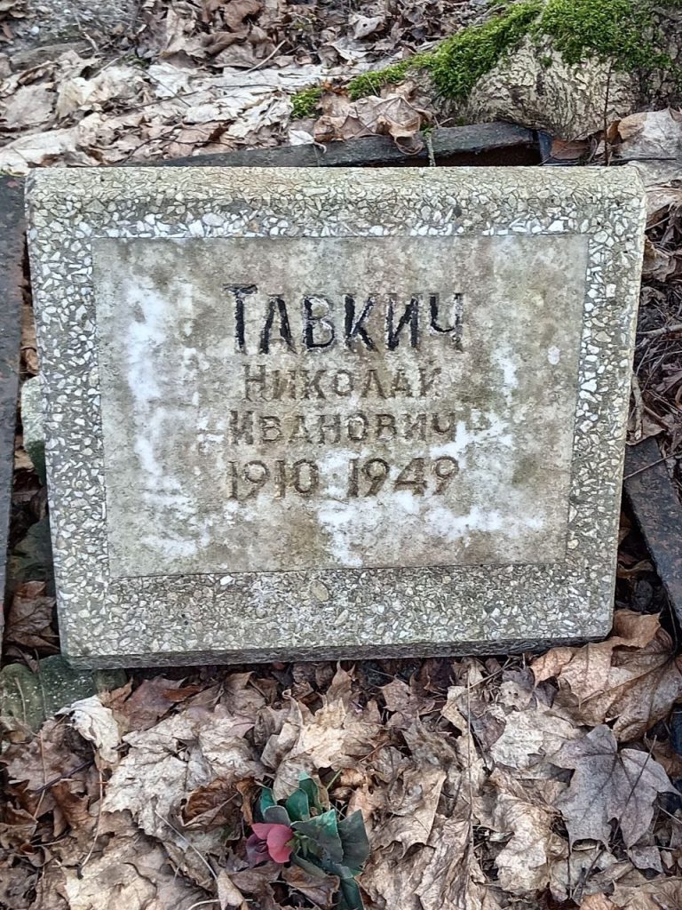 Тавкич_1